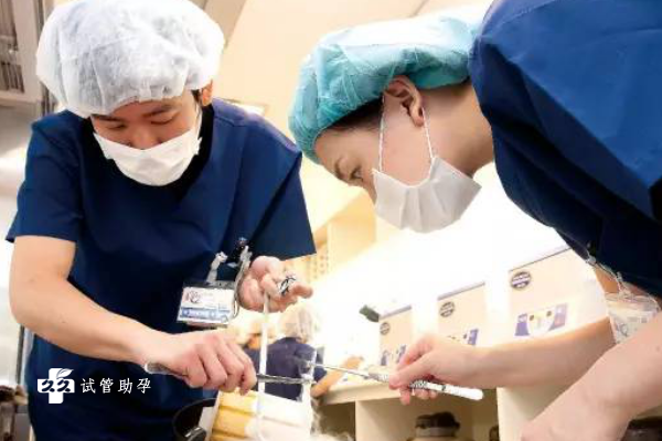 国内供卵女孩怎么选,2026年国内公立医院做*试管多少钱附费用明细