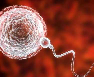 国内大医院哪家供卵好,魏则西父母*下试管婴儿 魏则西父亲二胎纪录片完成儿遗愿