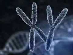 国内地下供卵公司,做试管*娃后还会自然怀孕吗专家这样说