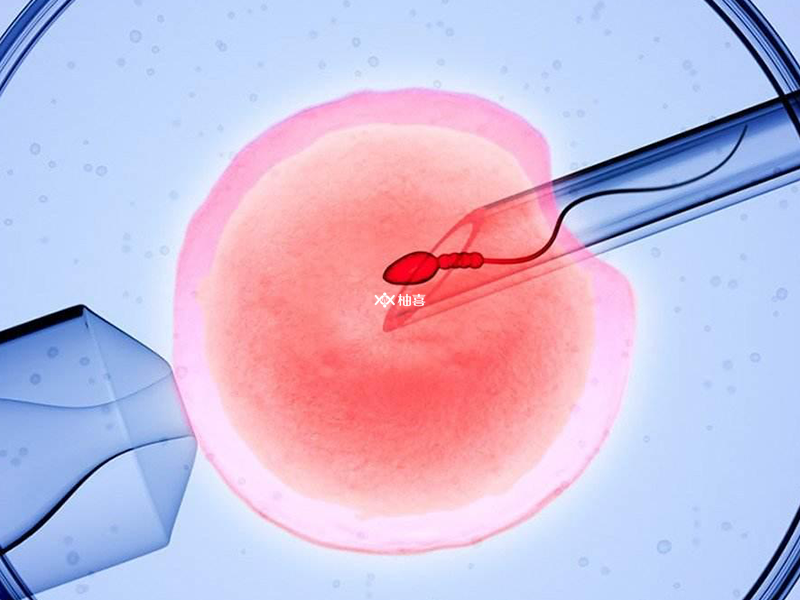 国内供卵正规机构有哪些,男方严重弱精可以做试管婴儿吗?能不能*?