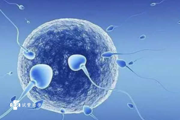 国内靠谱代生,做试管就一定会*儿子？好孕攻略全在这里