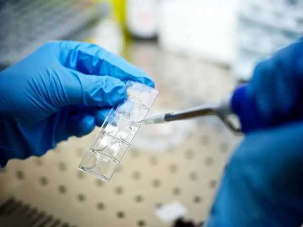 全国公立的供卵医院有几家,三代试管月经期间雌激素水平下降有影响吗？多少才算正常？