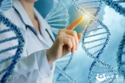 正规国内代怀机构咨询,什么是第四代试管技术(第四代试管婴儿适用人群)