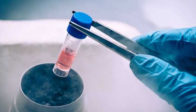 国内供卵多少钱,做试管婴儿前夫妻双方要做哪些准备？