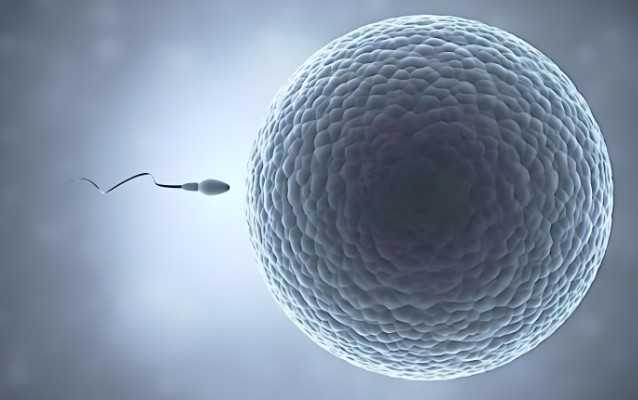 正规国内代孕公司咨询,试管两次都不*还要继续做一次吗？