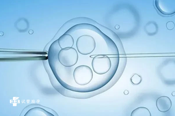 国内靠谱供卵,女性rh阴性血为什么不能*二胎？是会溶血吗？