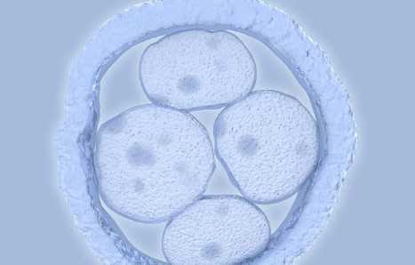 国内供卵做试管怎么样,医院做试管婴儿要多少钱,私立医院便宜还是公立便宜