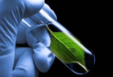 国内正规供卵私立医院哪家好,钛钢电镀会掉色吗（钛钢掉色吗 钛钢的特点）