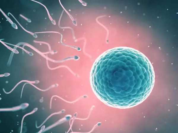 国内代孕需要多少钱,试管冷胚移植后一定要注意这几点，不然试管白做了！