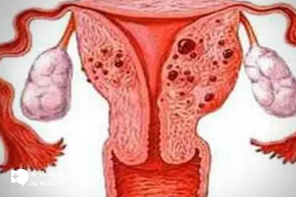 国内正规供卵私立医院有哪些,第三代试管婴儿技术是指？第三代试管是最安全的吗