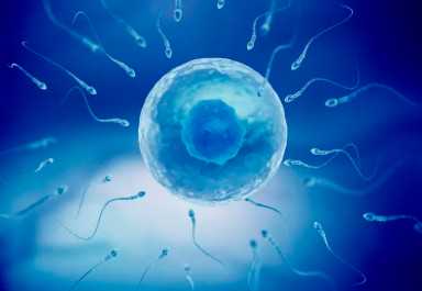 国内代怀哪家好,过年放鞭炮的寓意（过年为什么放鞭炮）