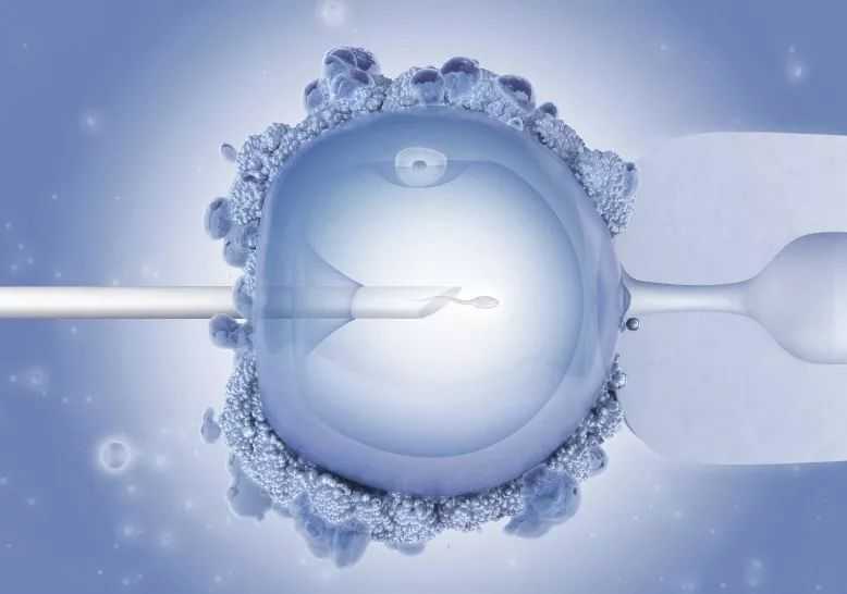 国内靠谱的供卵中心,红褐色怎么调色颜料（褐色怎么调色颜料）