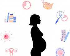 国内供卵咨询电话,冻存囊胚5ca的质量好吗,*率很低吗