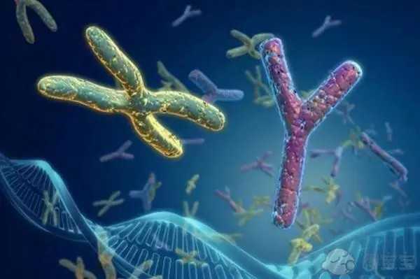 国内供精供卵试管婴儿成功率,女人做试管婴儿的条件有哪些？