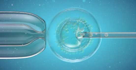 国内供卵机构费用,试管婴儿对人体有哪些伤害？避免损伤有妙招，一文看懂！