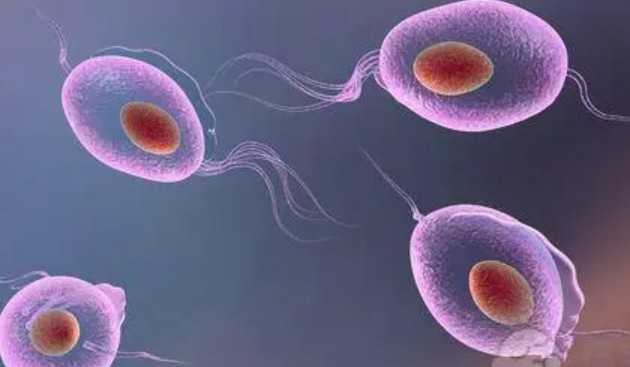 国内代怀孩子费用,最大最古老的陨石坑（关于最大最古老的陨石坑介绍）