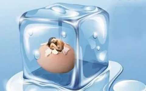 中国代怀孕价格,二代试管婴儿*率是多少？二代试管婴儿宝宝畸形率高吗