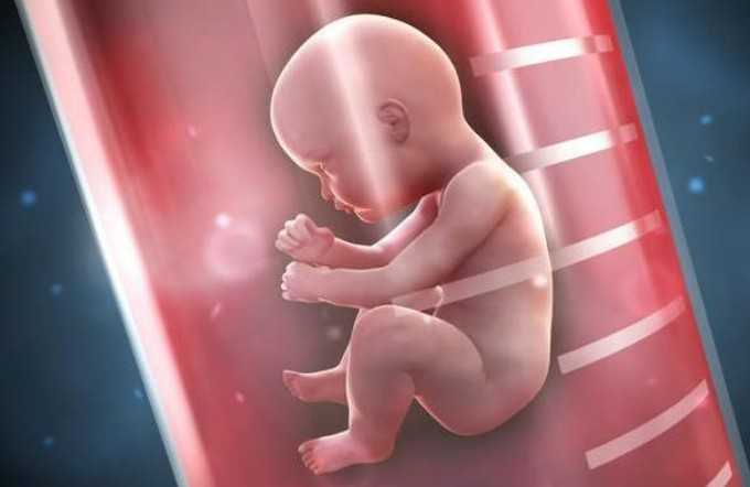 国内供卵中介有哪些,品鉴酒会比普通酒好吗（品鉴用酒跟普通酒有什么区别）