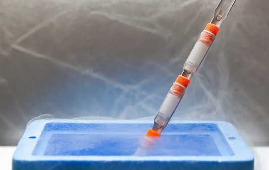 国内有几家代孕机构,移植后最晚10天着床？从这些反应即可提前预知