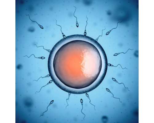 国内供卵交流,黄热病疫苗接种最新流程详解，这八大步骤你需要了解