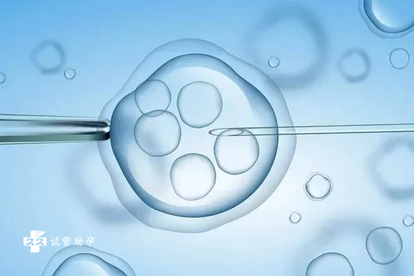 国内选择供卵试管的医院,别再问临沂人工授精多少钱，涉及费用的地方都在这