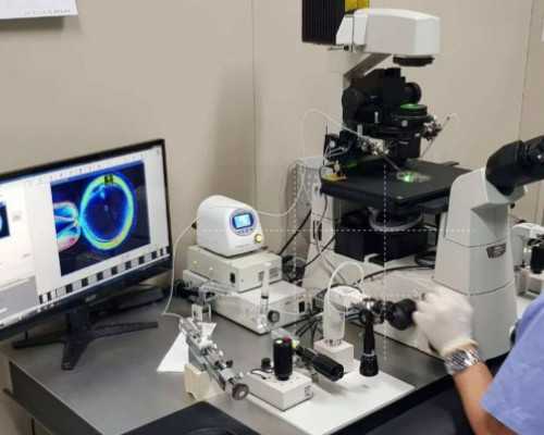 国内哪里有供卵女生,火棉胶婴儿的生存率并不低，防范得当时和正常人寿命无异