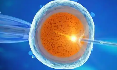 国内找女人代怀,流产、早产为常见影响！纵隔子宫生孩子危险性别忽视