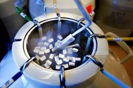 中国供卵机构排名榜单,多囊卵巢综合症患者想茂名的医院做试管婴儿，可行吗？