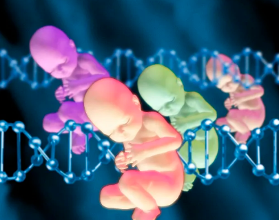 国内试管供卵的费用,皮下注射短效特尔津有无规定时间，上午or下午这篇说清