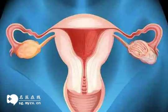 国内代怀妈妈,冻精可不可以做一代试管别没数，生小孩关键在这几点
