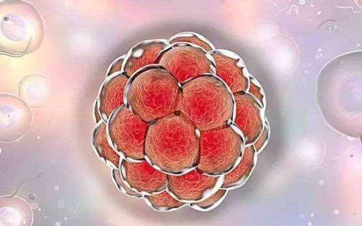 全国哪个医院有供卵,怎么说明卵泡已经排掉了，怎么知道卵泡是不是排掉了