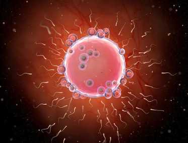 国内代孕中心哪家靠谱,卵巢早衰可以用长方案吗,性能可靠的卵巢早衰食疗