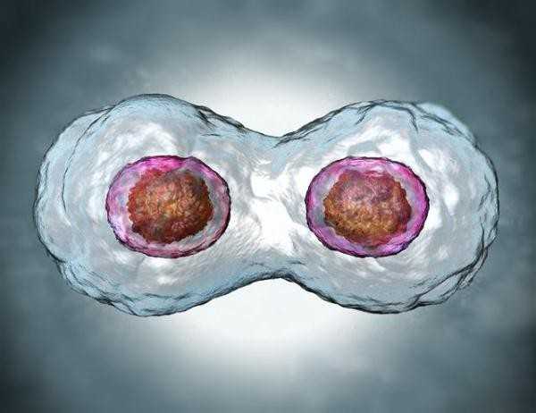 国内供卵自怀成功率,关于泰国试管婴儿手术过程的问题集结