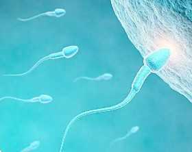 全国有哪些医院供卵医院,2026廊坊月子中心排名整理，广阳各家收费标准有所差别