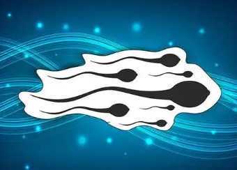 国内哪家医院供卵快一点,柳州妇幼试管婴儿,柳州妇幼保健院试管婴儿费用明细