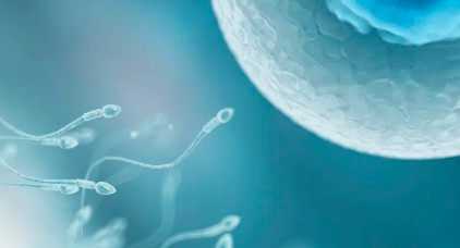 国内供卵生子中介,试管婴儿增加乳腺癌,做试管婴儿会增加乳腺癌风险吗