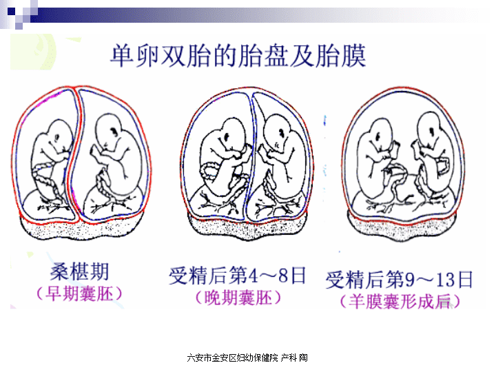 全国供卵试管婴儿医院有哪些,弓形子宫的女性可以做一代试管移植两个胚胎吗？