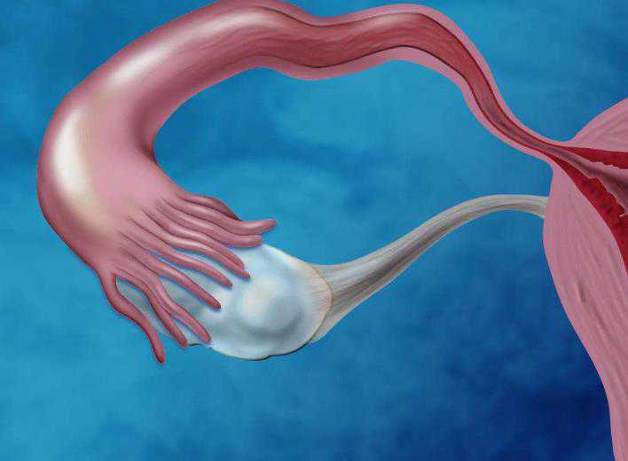 国内供卵代生机构排名,试管婴儿大连哪家医院好点附3家公立机构助孕成功率与费用