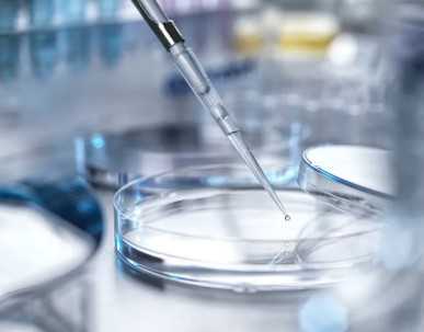 国内供卵高端机构有哪些,三峡大学附属仁和医院可以做试管婴儿吗？