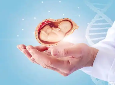 国内怎么供卵,单身女精子库生孩子,单身女子梦到未婚先孕