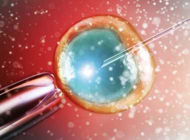 国内最好供卵中心医院,北医三院试管前期检查费用,北医三院试管婴儿费用