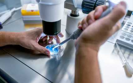 国内哪里可以供卵做试管的,石家庄试管婴儿哪家医院好？2026最新助孕排名分享