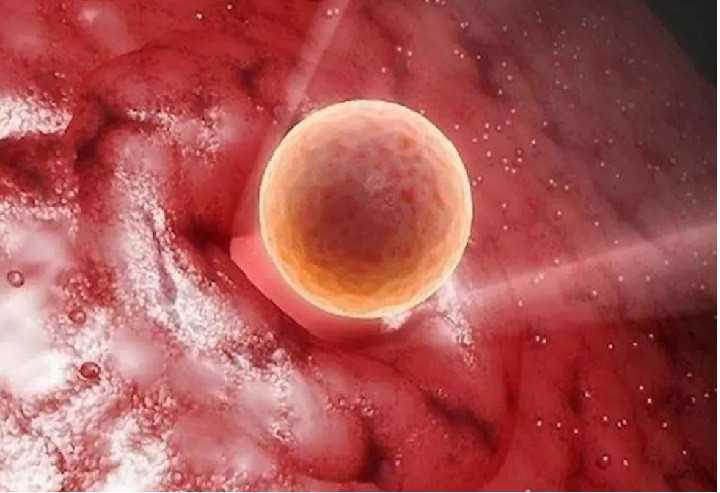 国内可以供卵的私立医院,美国做试管婴儿如何提高胚胎着床率，提高移植后胚胎着床率的5个方法