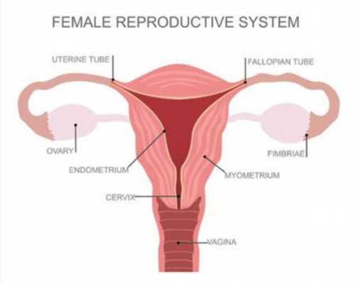 国内找代孕公司,婴儿胀气怎么办快速排气，新*儿每天胀气