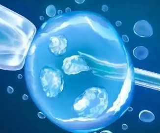 国内代怀的价格,邵阳试管冻胚和囊胚哪个成功率高，试管移植冻胚和囊胚的成功几率详解