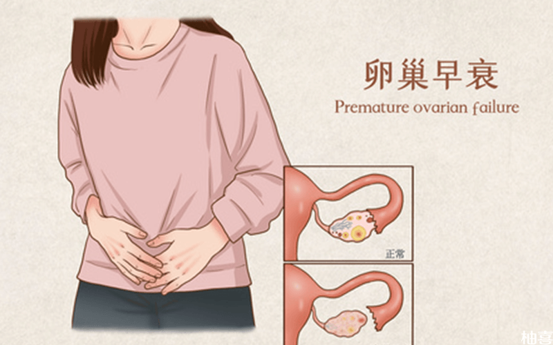 中国女生捐卵,三代试管选择女孩的费用贵吗多少钱？