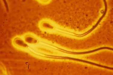 全国代孕服务,泰国试管婴儿什么优点，大约要花多少钱！