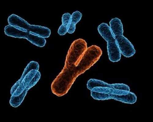 国内找人代生宝宝,圣元优博圣特拉慕评价（优博羊奶粉圣特拉慕事件）