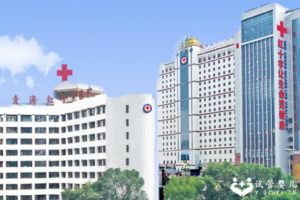 国内有没有供卵中心,张磊高瓴创始人（李桂江：羊了个羊创始人没想到仨月赚20万）