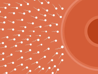 国内供卵试管排队时间,第3代试管助孕整体费用明细表，银行卡里没这个数先别做